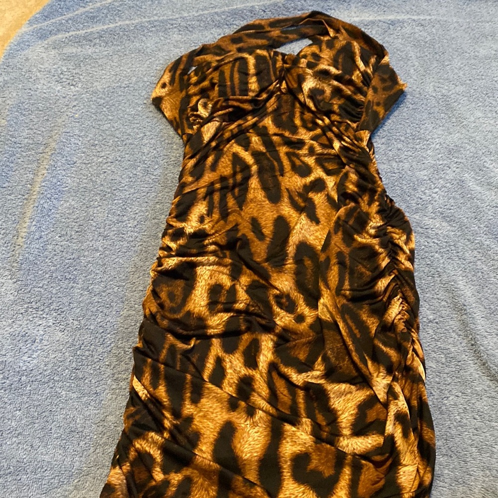 Tiger colors,small sexy for parties